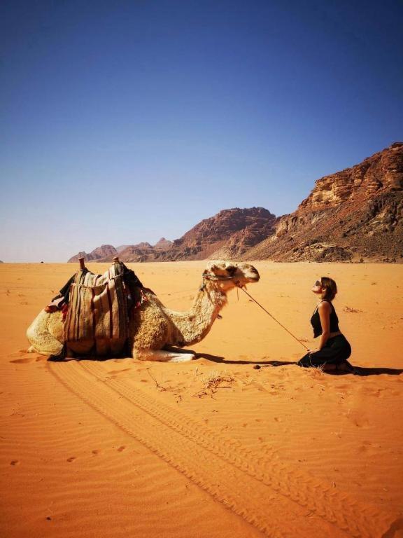 Wadi Rum Desert Heart Camp Ngoại thất bức ảnh