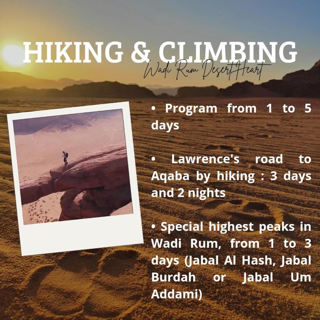 Wadi Rum Desert Heart Camp Ngoại thất bức ảnh