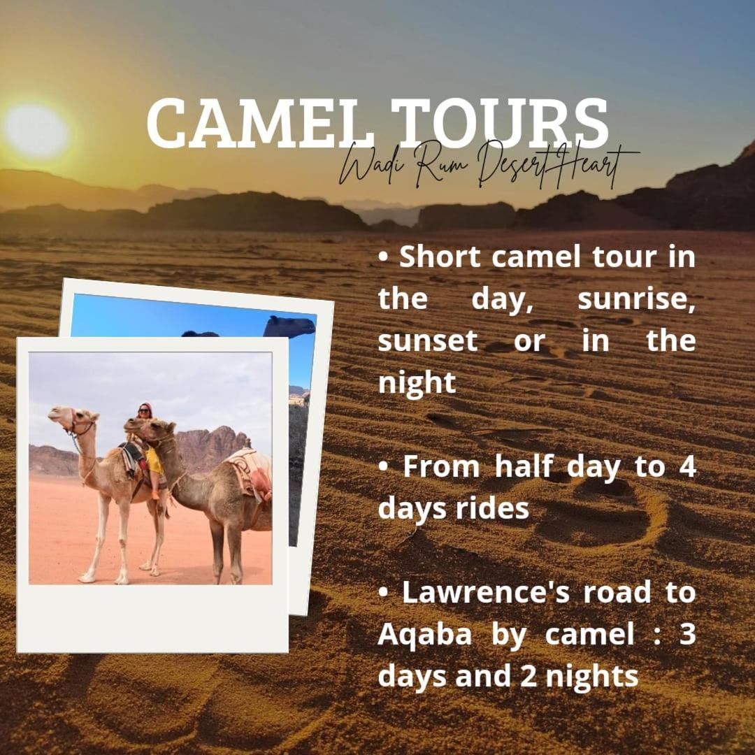 Wadi Rum Desert Heart Camp Ngoại thất bức ảnh